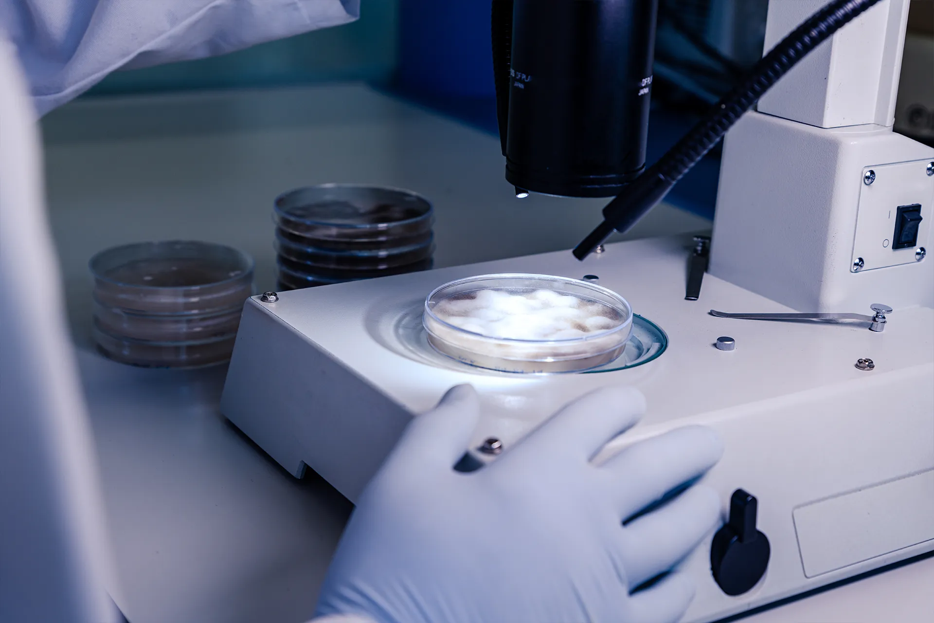 Laboratorio IVF