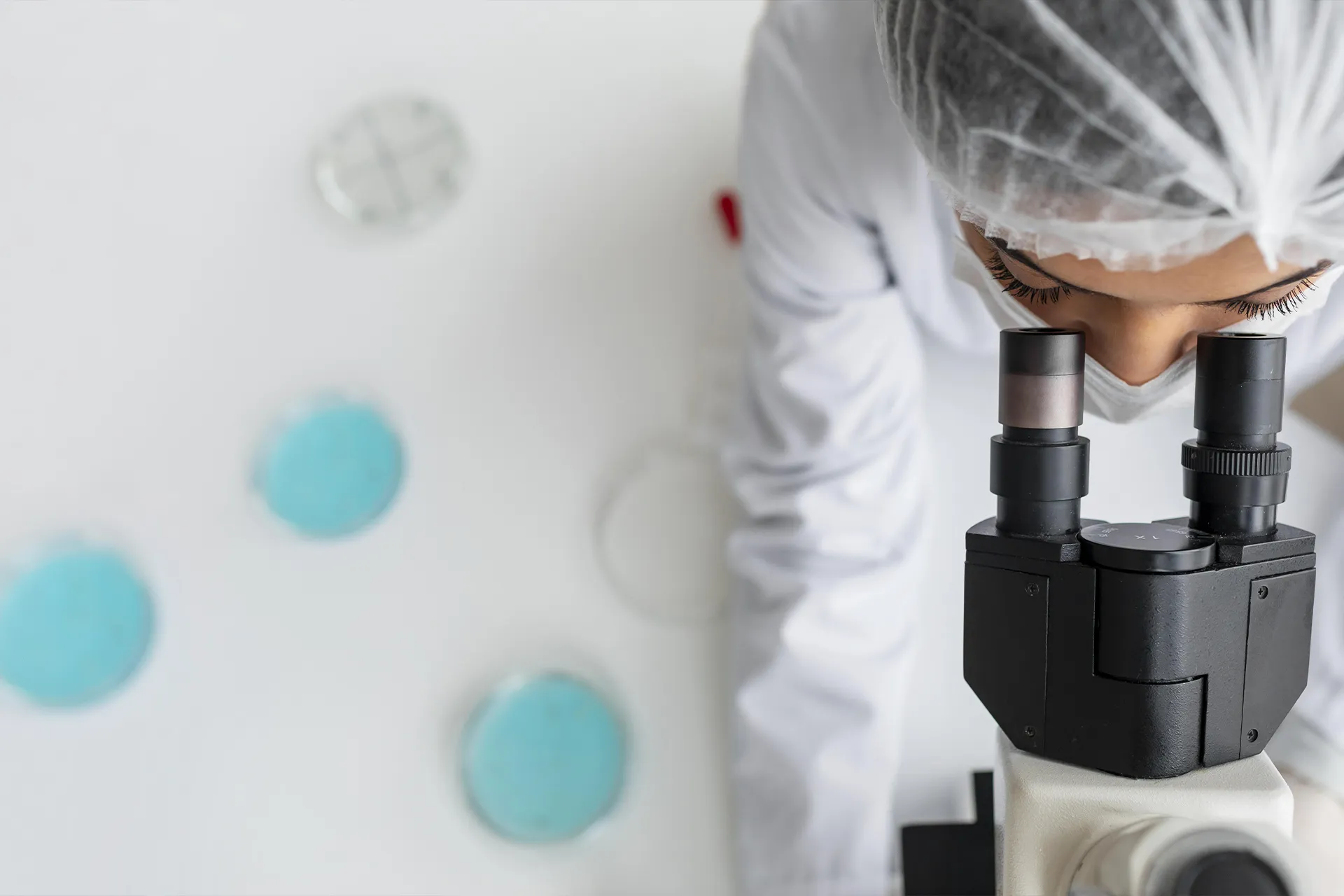 Contatti IVF Link