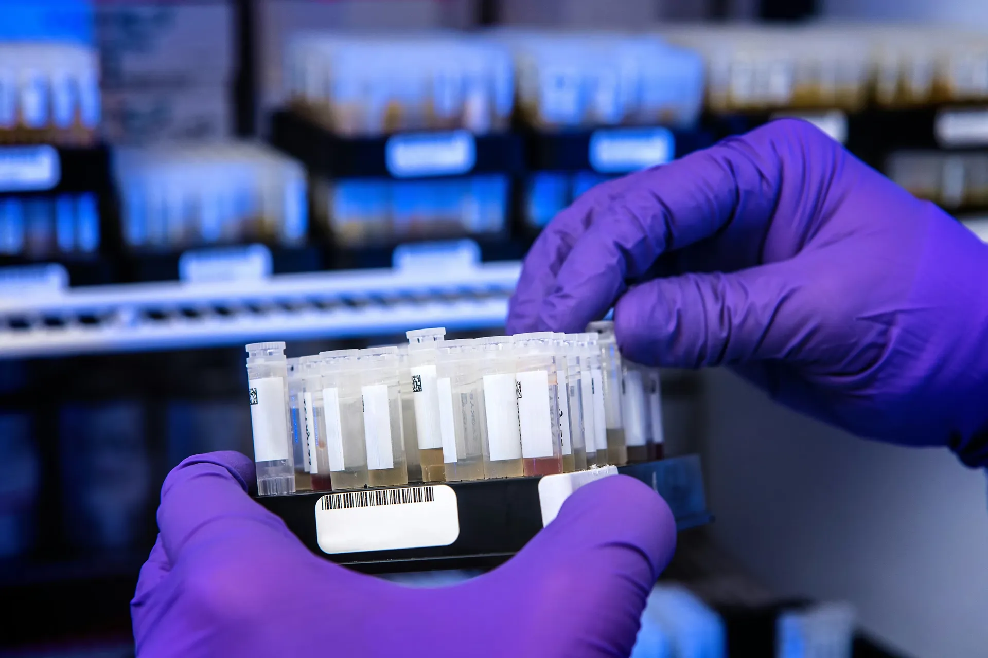 Servizi IVF Link